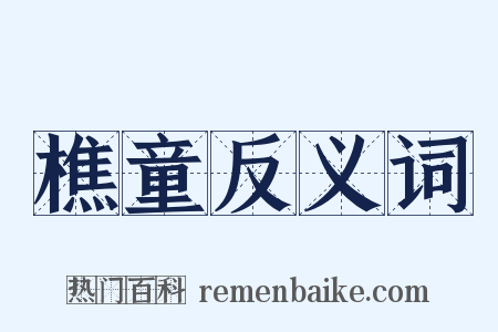 樵童反义词是什么意思的图片